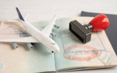 Why You Should Use a Professional Emigration Service When Moving from South Africa to Britain